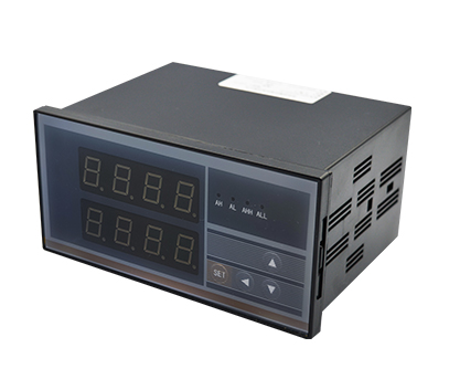 WPD2W双通道数显表